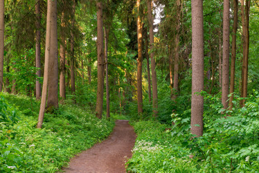 Similar image 6362022