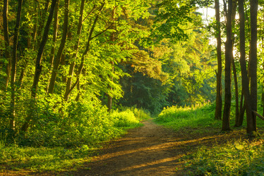 Similar image 6362038