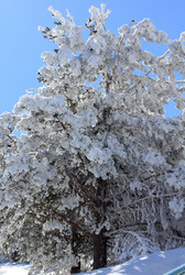 Similar image 6362071