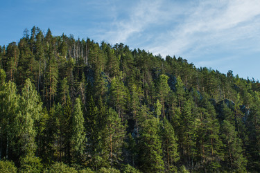 Similar image 6362375