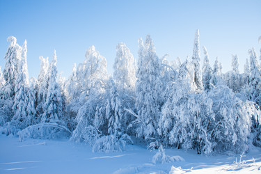 Similar image 6362386