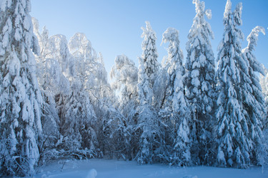 Similar image 6362387