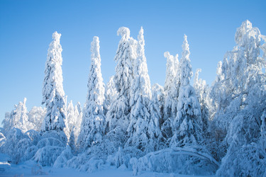 Similar image 6362388