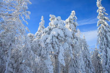 Similar image 6362390