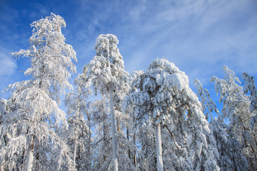 Similar image 6362401