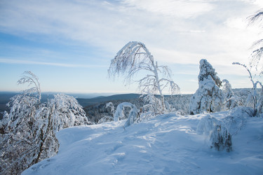 Similar image 6362409