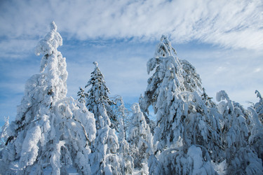 Similar image 6362414