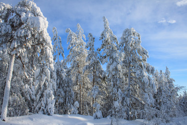 Similar image 6362416