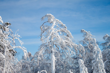 Similar image 6362419