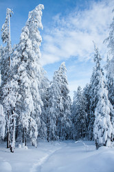 Similar image 6362421