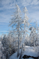 Similar image 6362424