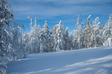 Similar image 6362425