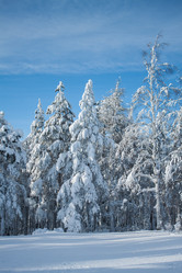 Similar image 6362428