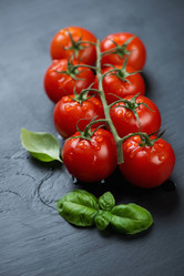 Similar image 6362439