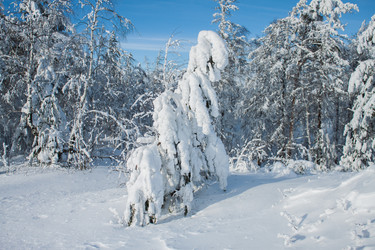 Similar image 6362444