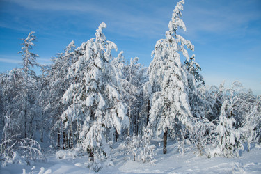 Similar image 6362445