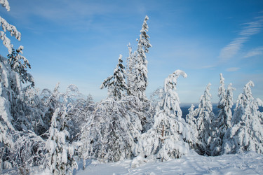 Similar image 6362446