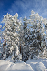 Similar image 6362448