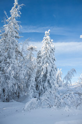 Similar image 6362450