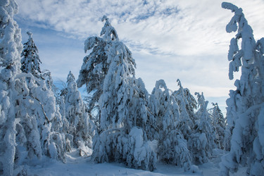 Similar image 6362462