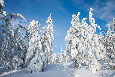 Similar image 6362463