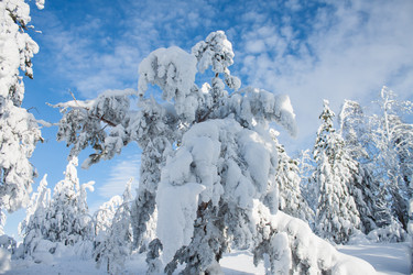 Similar image 6362464