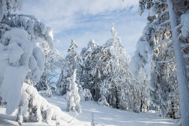 Similar image 6362465