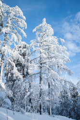 Similar image 6362466