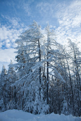 Similar image 6362467