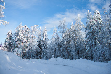 Similar image 6362469