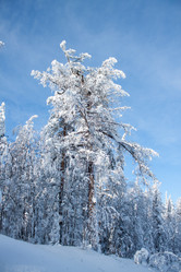 Similar image 6362470