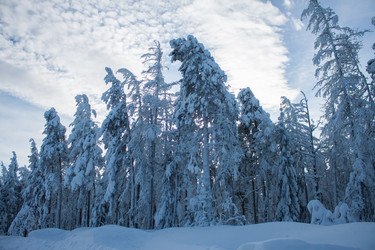 Similar image 6362474