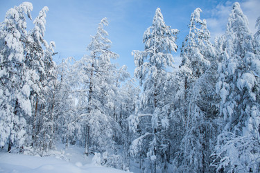 Similar image 6362475