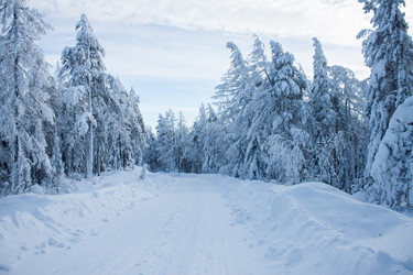 Similar image 6362476