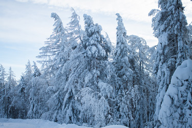 Similar image 6362477