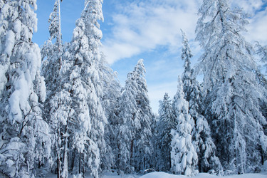 Similar image 6362478