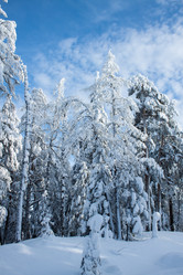 Similar image 6362480