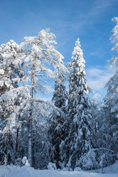 Similar image 6362481