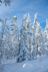 Similar image 6362482