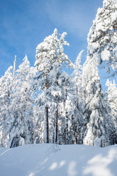 Similar image 6362483