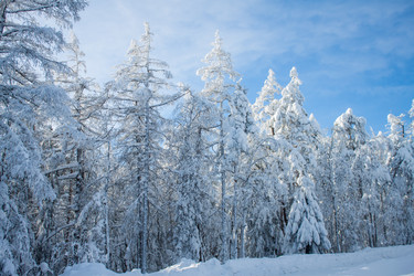 Similar image 6362484