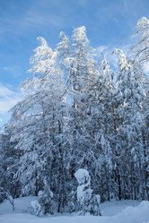 Similar image 6362485