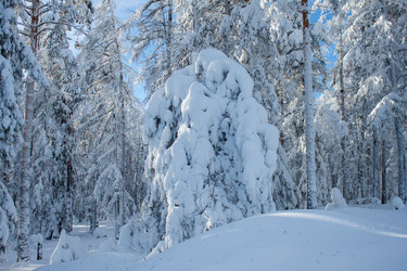 Similar image 6362486