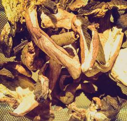 Similar image 6362520