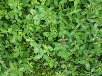 Similar image 6362559