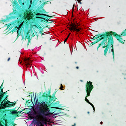 Similar image 6362653