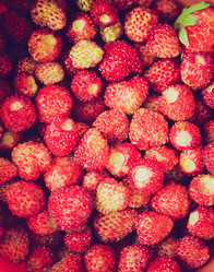 Similar image 6362681