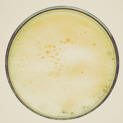 Similar image 6362688