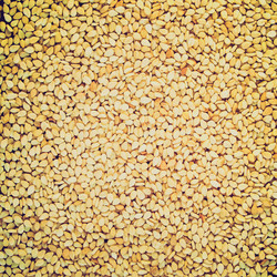 Similar image 6362697