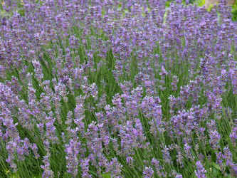 Similar image 6362729